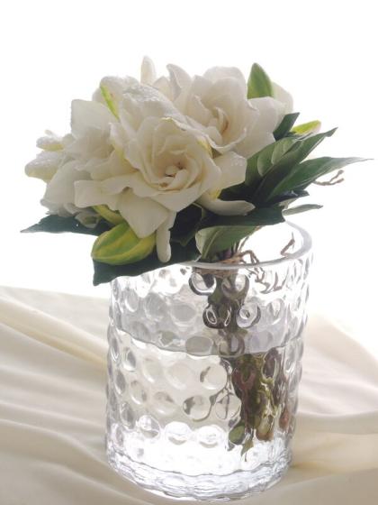 生花 大島のガーデニア クチナシ 30cm程度 入荷少 ご注文前に商品説明をお読み下さい 通販 はなどんやアソシエ