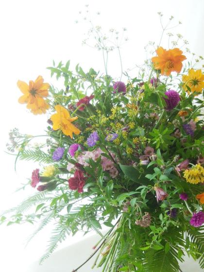 生花 アスター ステラトップブルー 早締切 74 通販 はなどんやアソシエ