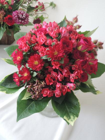 生花 アスター 赤 ステラレッド ステラスカーレットなど Ot 通販 はなどんやアソシエ