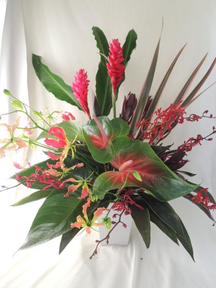 生花 レッドジンジャー 石垣熱帯植物園 早締切 74 通販 はなどんやアソシエ