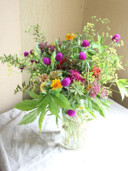 生花 ミシマサイコ 70cm程度 通販 はなどんやアソシエ