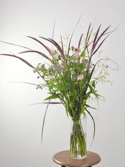 生花 ミシマサイコ 70cm程度 通販 はなどんやアソシエ