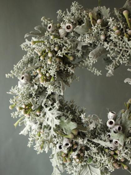 生花 コチア 50cm程度 Ot 通販 はなどんやアソシエ