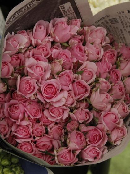 生花 Spバラ バンビーナ ピンク 通販 はなどんやアソシエ