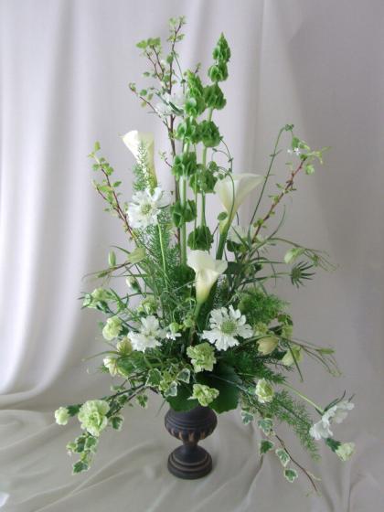生花 日野 アイビー ホワイトワンダー 60cm 通販 はなどんやアソシエ