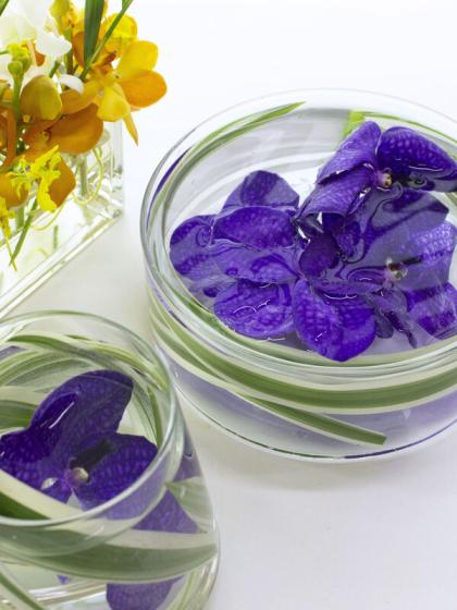 生花 バンダ ブルー系おまかせ 4 5輪 通販 はなどんやアソシエ