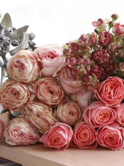 生花 Spバラ ラディッシュ 今週のオトク 通販 はなどんやアソシエ