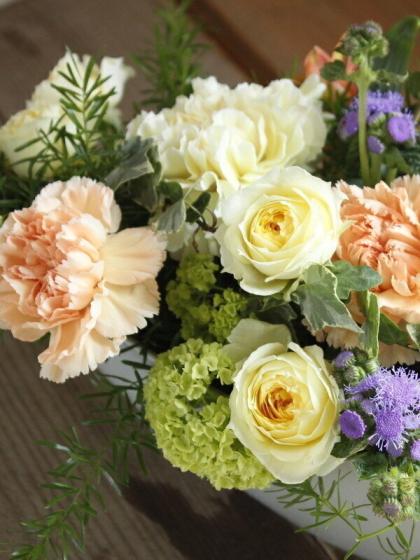 生花 日野 アイビー ホワイトワンダー 60cm 通販 はなどんやアソシエ