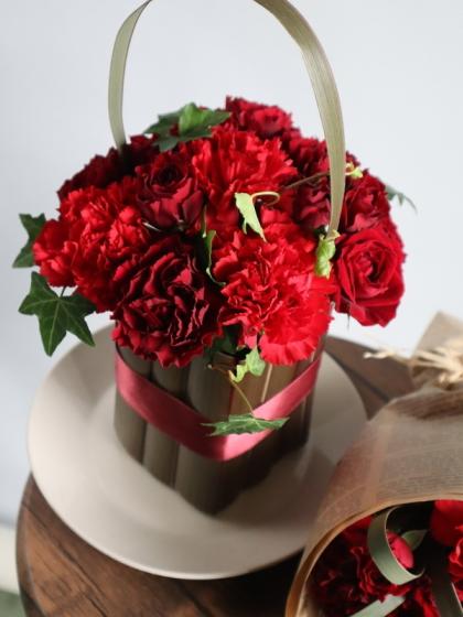 生花 日野 アイビー ピッツバーグ 60cm 通販 はなどんやアソシエ