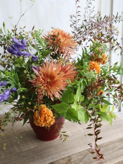 生花 トリカブト 紫 有毒植物です 商品説明を必ずご確認下さい 通販 はなどんやアソシエ