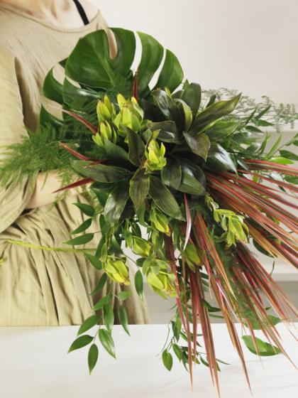 直前】【生花】ドラセナ コンシンネレインボー 40cm〜【OT】 - 花材