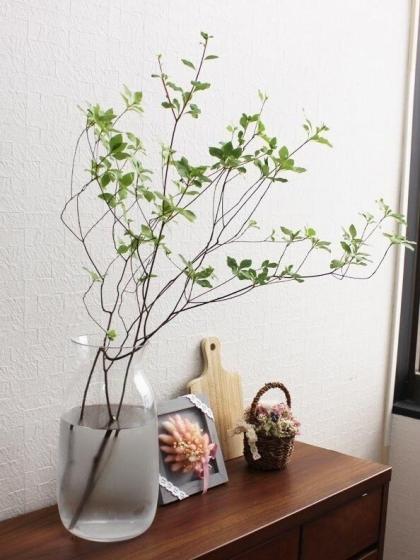 ボブクラフト/キャスケット L/670-1C - 花材通販はなどんやアソシエ