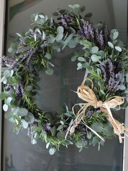 直前!】グニユーカリ 50cm程度 茨城県など - 花材通販はなどんやアソシエ