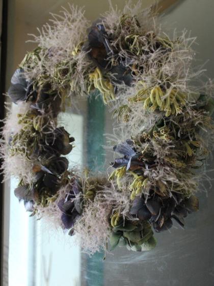 直前】【生花】国産カンガルーポー グリーンMサイズ60cm程度【OT】伊豆