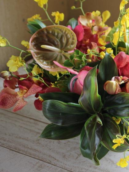 生花】【大佐和花き園】アンスリュームの葉 M(約18〜25cm)【OT