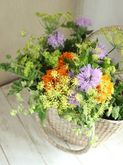 直前!】スペアミント(20cm程度)【生花】 - 花材通販はなどんやアソシエ