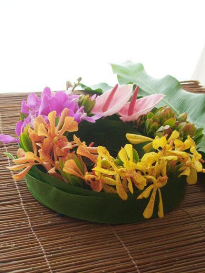 サトウアサミ　ピンクの花 サトウアサミ ピンクの花 サトウアサミピンクの花