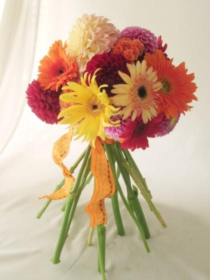 記念日の贈り物に☆初夏の爽やかさ☆オレンジガーベラのバスケット 楽天市場】【生花】【さぎやま】ガーベラ バニー（アプリコット