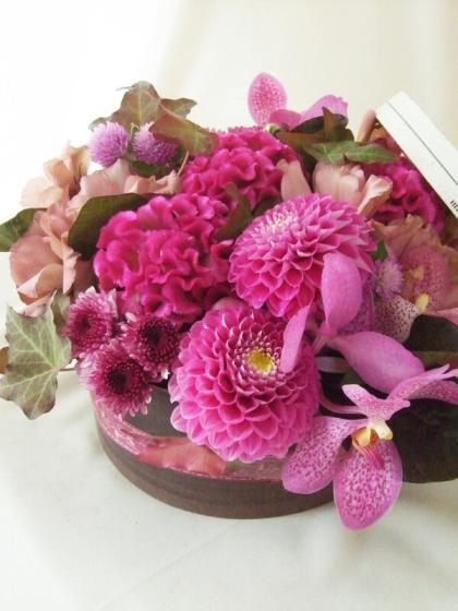 SALE 千日紅のフラワーボール リボン付き 淡色ピンク 直前!!!】岡田さんの千日紅 ソフトピンク スプレー 2Lサイズ