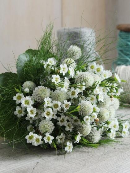 生花】ワックスフラワー(白) 輸入 50cm程度【OT】 - 花材通販は