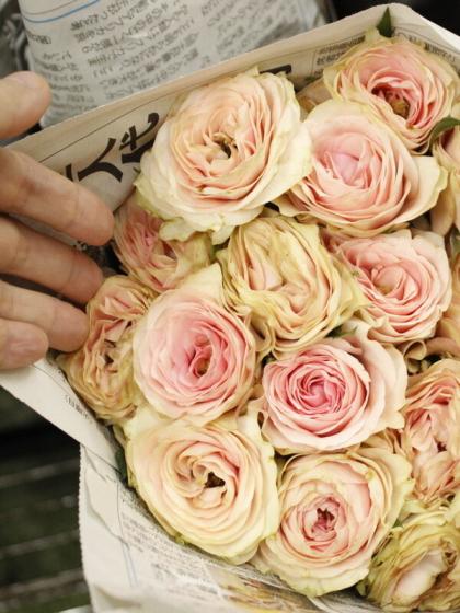 ꫛꫀꪝ♪ ◇ハーバリウム 172 ダークピンクのバラの大人ボトル*.:。