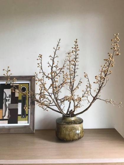 生花】星野さんの桐(枝もの)60センチ【IT-29】 - 花材通販はなど