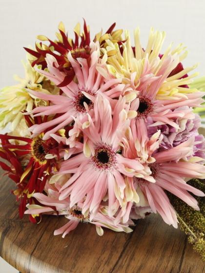 生花】ガーベラ パスティーニMix アドアーフローカ 【早締切-74】 - 花