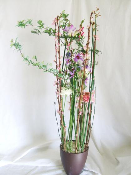 生花】花桃あけぼの L 【届日限定2/25-28】 - 花材通販はなどん
