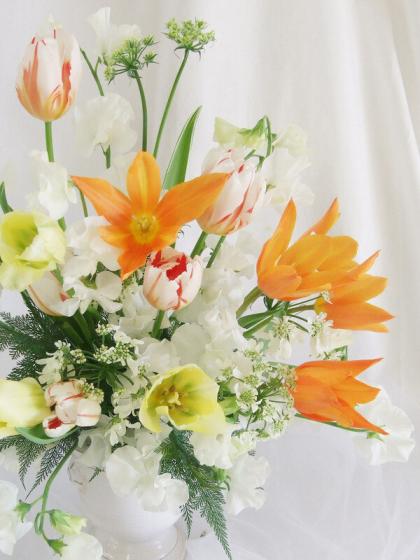 生花】チューリップ カーニバルデリオ、Hジェネレーションなど(一重