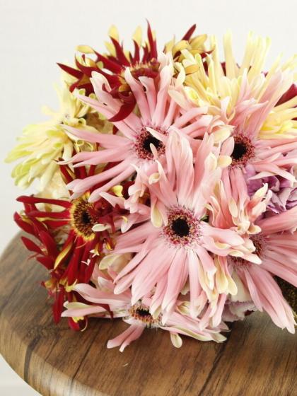 生花】ガーベラ パスティーニMix アドアーフローカ 【早締切-74】 - 花