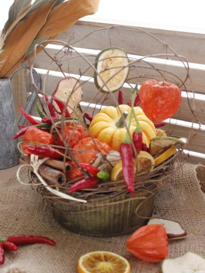 ドライ】J・flow/実ほおずき 約10個入り 【S2-13】 - 花材通販はなどん