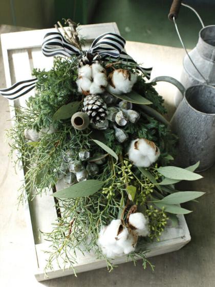 生花/予約】ユーカリ テトラゴナナッツ(プレウロカルパ)25cm程度 ※商品