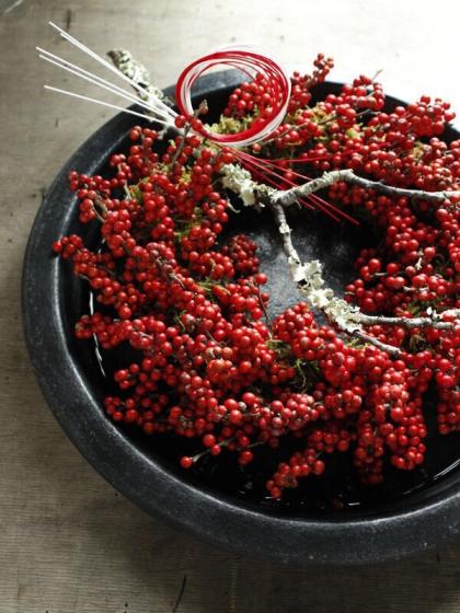 08直前!】ウメモドキ 赤 60cm程度 - 花材通販はなどんやアソシエ