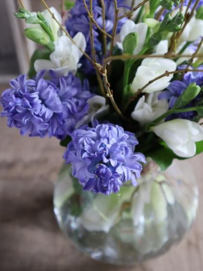 生花】行李柳(100cm～)【OT】茨城県ほか - 花材通販はなどんやアソシエ