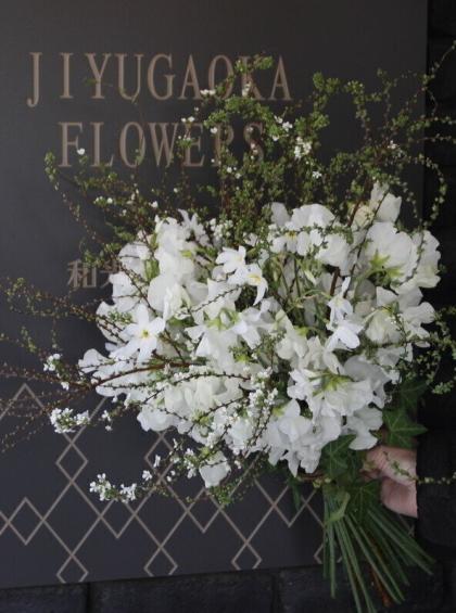 生花】スイトピー(白)【IT-22】 - 花材通販はなどんやアソシエ