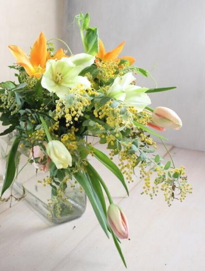 直前!】輸入ミモザアカシア品種おまかせ 50cm程度(束約8〜10本)【生花