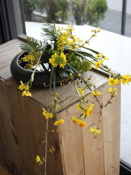 生花】菜の花 40cm- 千葉県など【OT】 - 花材通販はなどんやアソシエ