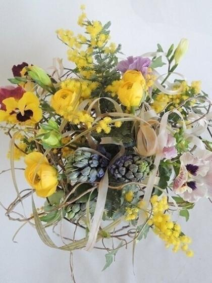 生花】輸入ミモザアカシア品種おまかせ 50cm程度(束約10本)OR-早締切