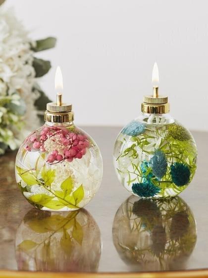 即日☆【プリザーブド】大地農園/アスパラ・スプリンゲリー 約2本