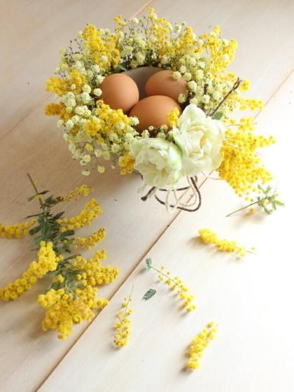 直前!】輸入ミモザアカシア品種おまかせ 50cm程度(束約8〜10本)【生花