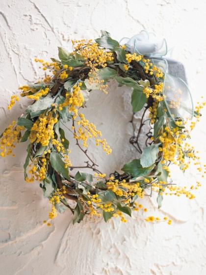 ドライ】大地農園/ミモザ・N/10905-000 - 花材通販はなどんやアソシエ