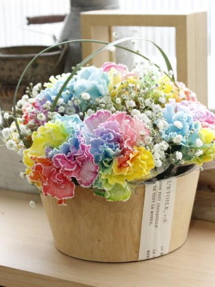 高級プリザーブドフラワー】 パステルレインボーカーネーション