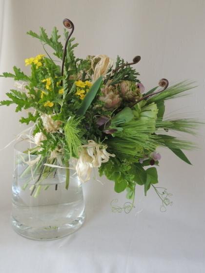 菜の花ページ 菜の花🌼とそらら🦭🐾 𝐺𝑜𝑜𝑑 𝑚𝑜𝑟𝑛𝑖𝑛𝑔☕𓈒𓏸︎︎︎︎