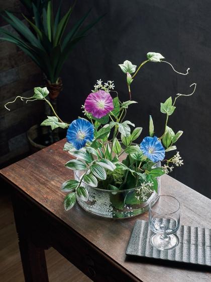 即日☆【造花】MAGIQ東京堂/江戸朝顔 #12 ORCHID/FM000203-012 - 花材