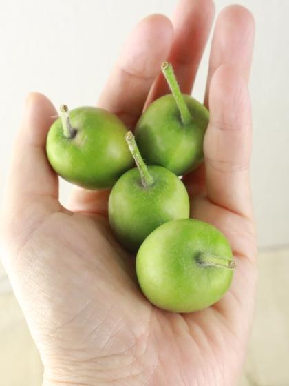 直前!!!】青リンゴ L-2Lサイズ 長野県など - 花材通販はなどんやアソシエ