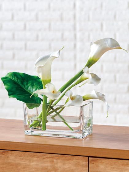 LEOタカオカ/SB-1203/142-21203-0 - 花材通販はなどんやアソシエ