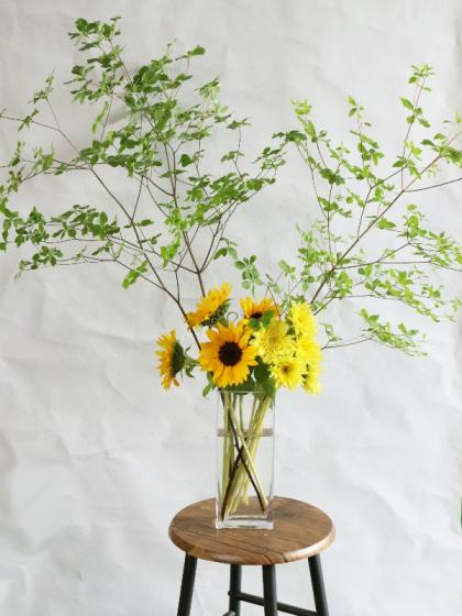 jumbo flower sun flower （ヒマワリ） | ALL GOOD FLOWE