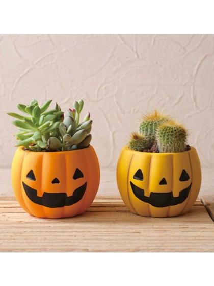 GREENHOUSE/HWパンプキンポット アソートS 2種×各6個/HW207-BS - 花材