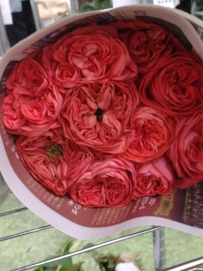 エゼ様オーダー染め花　薔薇&アネモネ エゼ様オーダー創作染の花 薔薇オンライン ストア
