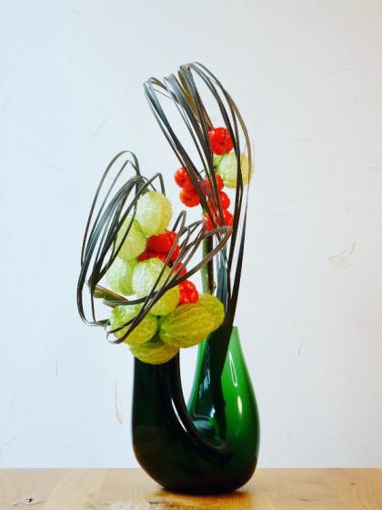 直前】赤入才(斑なし) 70cm程度 千葉県 - 花材通販はなどんやアソシエ